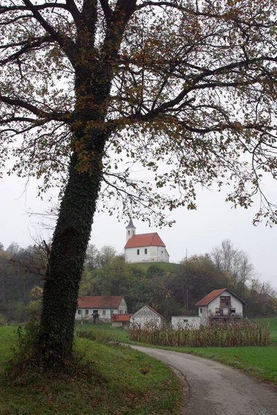 Prachtig Uitzicht Natuur — Stockfoto