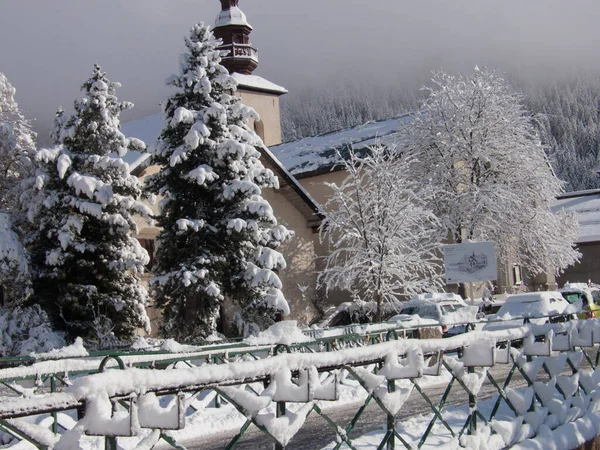 Paysage Hivernal Avec Arbres Enneigés — Photo