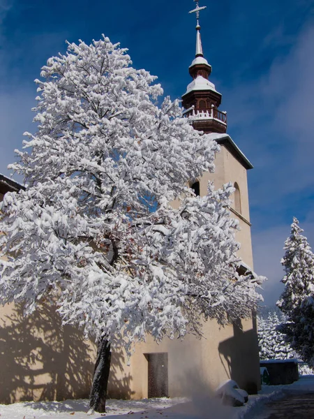 Paisagem Inverno Com Neve Árvores — Fotografia de Stock