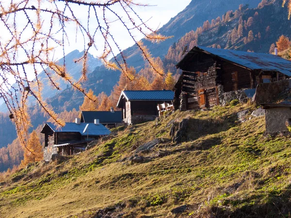 Vackert Höstlandskap Med Snötäckta Träd Fjällen — Stockfoto