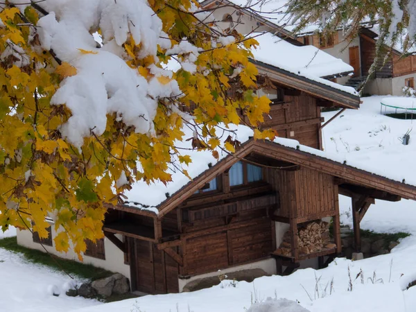 Hermoso Paisaje Invierno Con Árboles Cubiertos Nieve —  Fotos de Stock