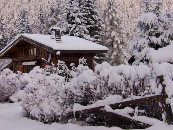 Hermoso Paisaje Invierno Con Árboles Cubiertos Nieve — Foto de Stock