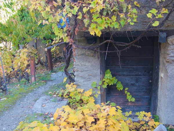 Autumn Landscape Wooden House — Stock Photo, Image