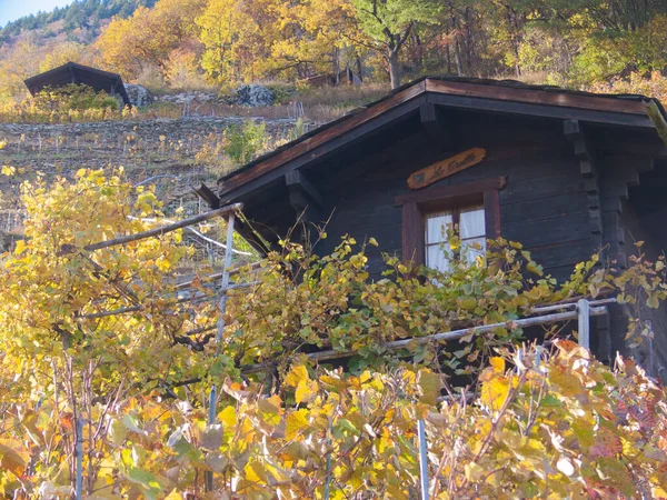 森の中に木造家屋のある秋の風景 — ストック写真