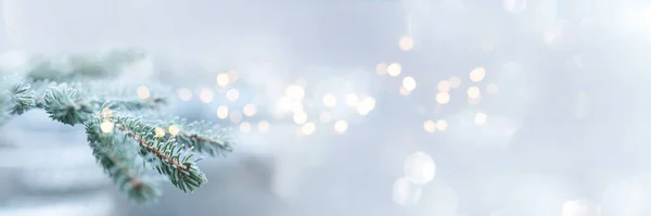 Fir Κλαδιά Χειμώνα Εορταστική Bokeh Για Χριστούγεννα Χαιρετισμούς Οριζόντια Φόντο — Φωτογραφία Αρχείου