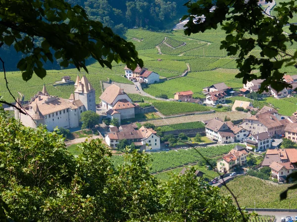 Vue Sur Les Vignobles Des Alpes Suisses — Photo