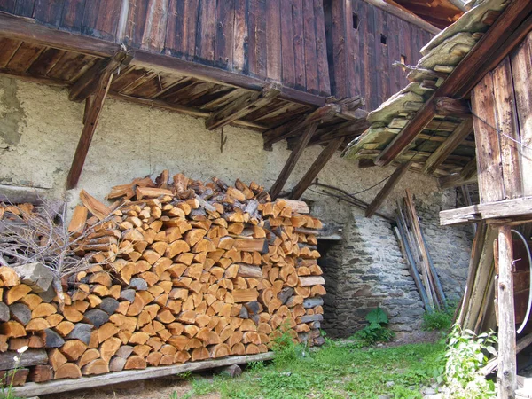 Vecchi Tronchi Legno Nel Bosco — Foto Stock