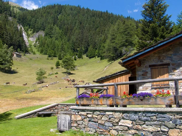 Alpine Berglandschaft Mit Kleinem Dorf Den Alpen — Stockfoto