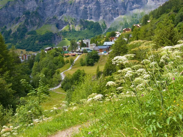 Гірський Пейзаж Зеленими Деревами Горами — стокове фото