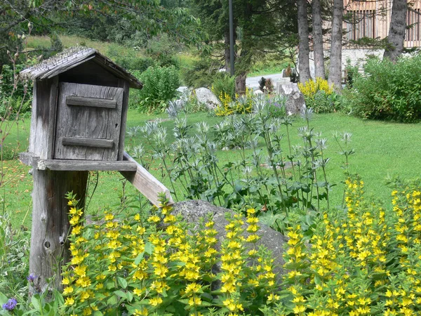 Starý Dřevěný Dům Květinami Rostlinami — Stock fotografie