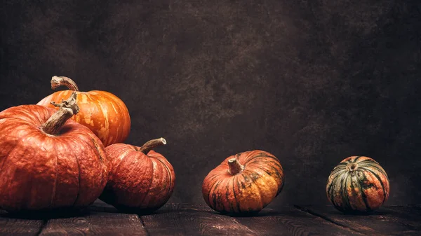 Εορταστική Φθινόπωρο Νεκρή Φύση Κολοκύθες Σκούρα Ξύλινη Επιφάνεια Καφέ Φόντο — Φωτογραφία Αρχείου