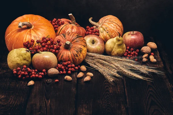 Εορταστική Φθινόπωρο Νεκρή Φύση Κολοκύθες Μήλα Κόκκινα Μούρα Ξηρούς Καρπούς — Φωτογραφία Αρχείου