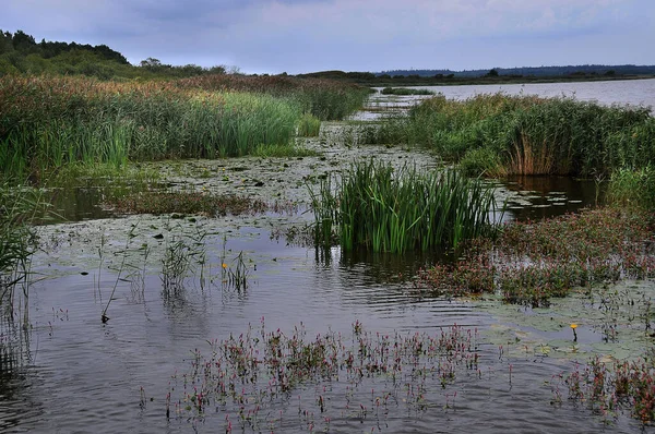 Vackert Landskap Med Sjö Bakgrunden — Stockfoto