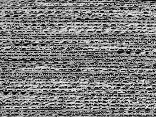 Aus Weißem Hellgrauen Wellpappe Textur Nützlich Als Hintergrund — Stockfoto