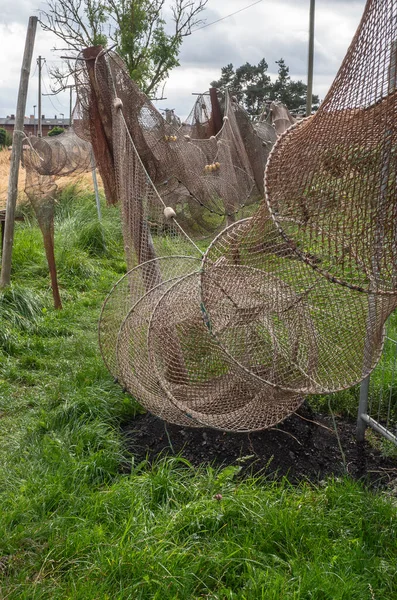 Fishing Nets Hung Drying — Stock Photo, Image