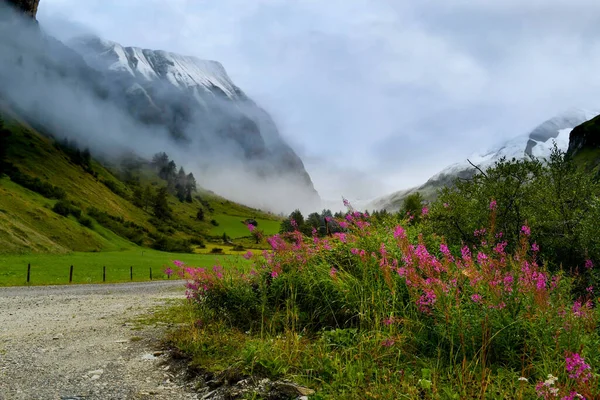 オーストリア最高峰グロースグロックナー山 — ストック写真