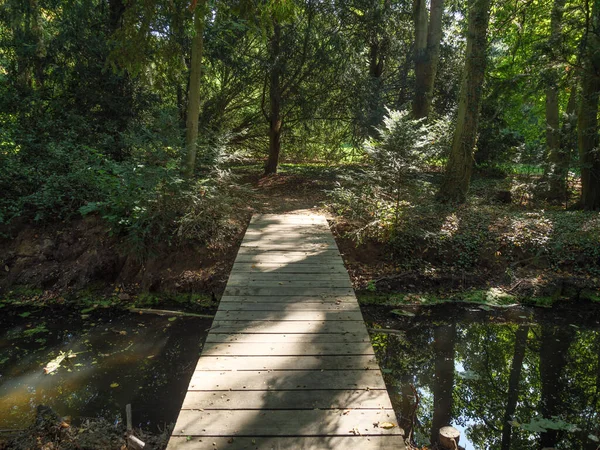 Ponte Madeira Floresta — Fotografia de Stock