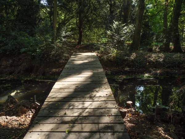 Pont Bois Dans Forêt — Photo