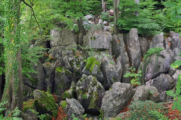 Impressing View Sea Rocks Beeches Large Rocks Felsenmeer Hemer Rocks — Stock Photo, Image