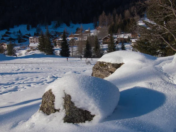 Vackert Vinterlandskap Med Snötäckta Träd — Stockfoto