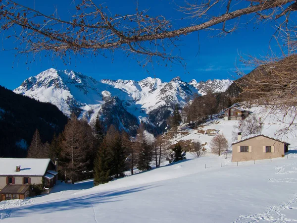 Bela Paisagem Inverno Com Neve Árvores — Fotografia de Stock