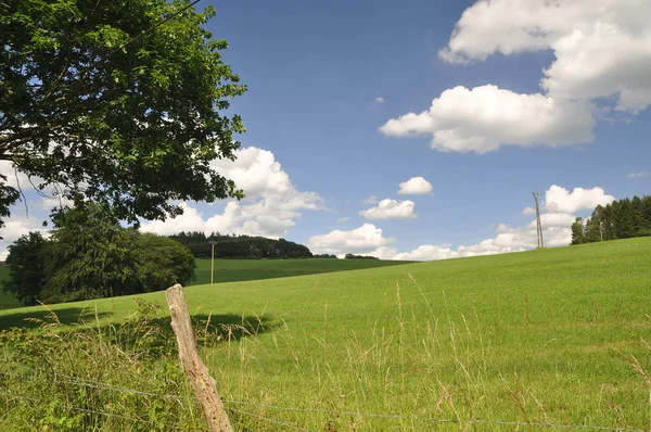 Groen Veld Blauwe Lucht — Stockfoto