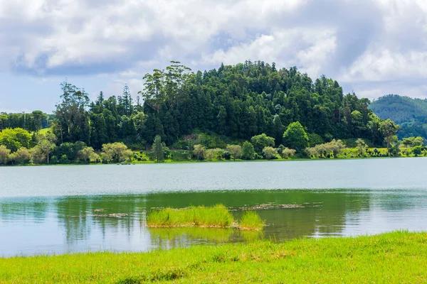葡萄牙亚速尔圣米格尔岛Furnas湖景观 一片迷人而宁静的景象 一片茂密的树叶和火山口中的湖面 — 图库照片