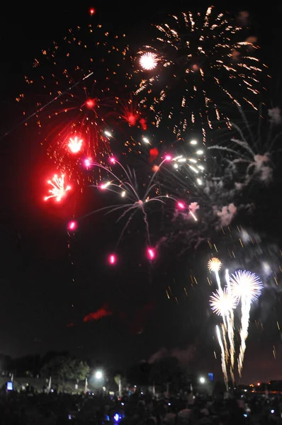 Fuochi Artificio Nel Cielo Notturno — Foto Stock