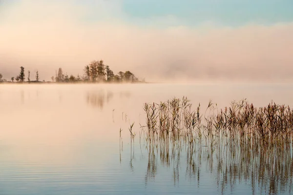 Beautiful Landscape Lake Trees — Stock Photo, Image