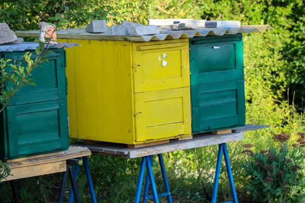 Colmenas Coloridas Paran Paisaje Esperan Que Las Abejas Regresen Para —  Fotos de Stock