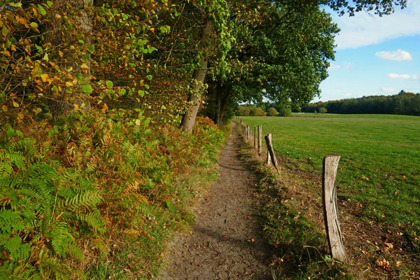 Naturschutzgebiet Duvenstedter Bach — Stockfoto