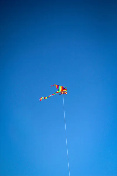 バルト海の空の子供のための凧 — ストック写真