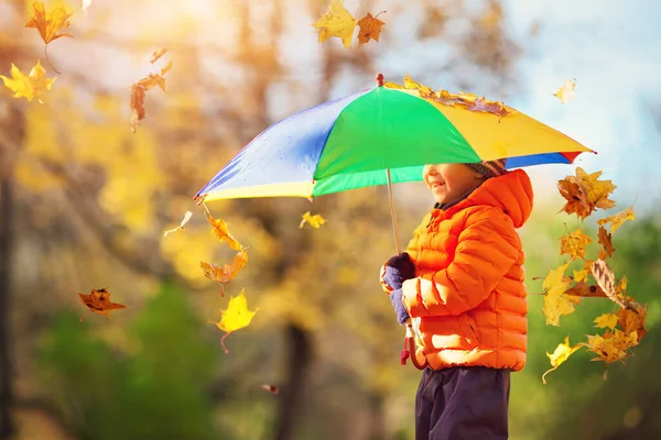 아름다운 우산을 있는아이 단풍나무 떨어지는 가운데 밖에서 — 스톡 사진