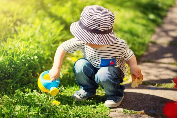 Kind Wandelend Een Prachtige Lentedag Het Gras Met Paardebloemen Kleine — Stockfoto