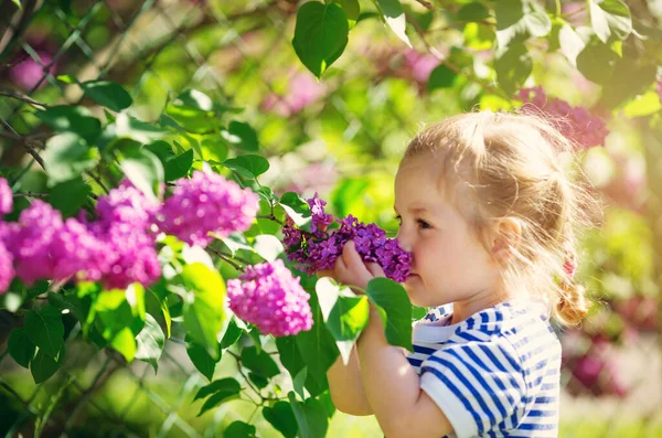 Niño Oliendo Flores Lila Hermoso Día Primavera Linda Chica Aire —  Fotos de Stock