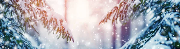 Όμορφο Δέντρο Χειμερινό Τοπίο Αργά Βράδυ Χιονόπτωση — Φωτογραφία Αρχείου