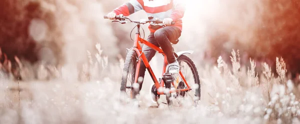 Kind Frühen Morgen Auf Einem Fahrrad Wald Junge Radelt Freier — Stockfoto