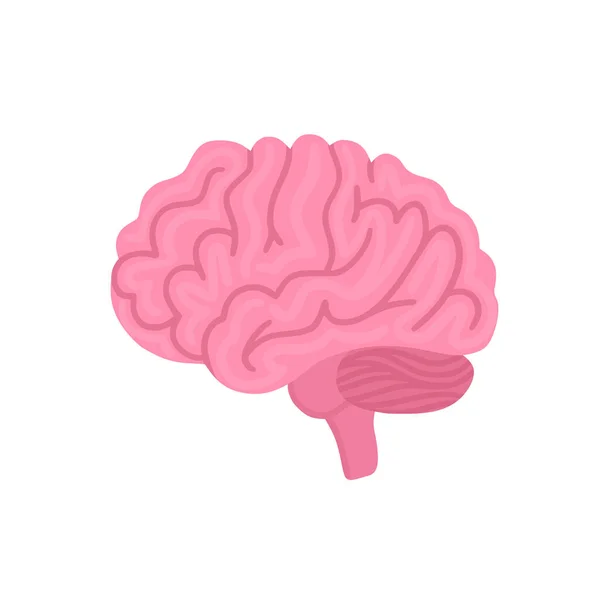 Vector Cerebral Aislado Ilustración Para Etiqueta Medicina Cartel Publicitario Pancarta —  Fotos de Stock