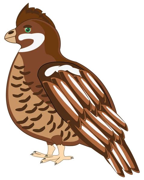 Vektor Illustration Den Tecknade Fågeln Hassel Ripa — Stockfoto