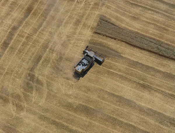 Aerial View Combine Harvester Working Field — Stock Photo, Image