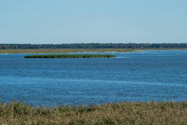 Bellissimo Paesaggio Con Fiume Lago — Foto Stock