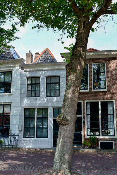 Typical House Facade Large Tree Old Town Zierikzee Zeeland Netherlands — Stock Photo, Image