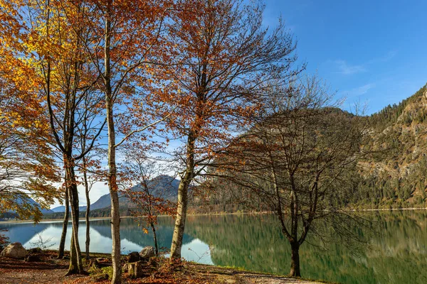 Sylvenstein Gölü Nde Sonbahar — Stok fotoğraf