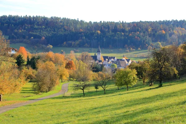 Vista Del Michaelskirche Gueltlingen — Foto de Stock