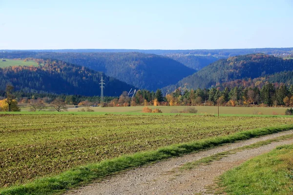 Piękny Krajobraz Dużą Drogą Lesie — Zdjęcie stockowe