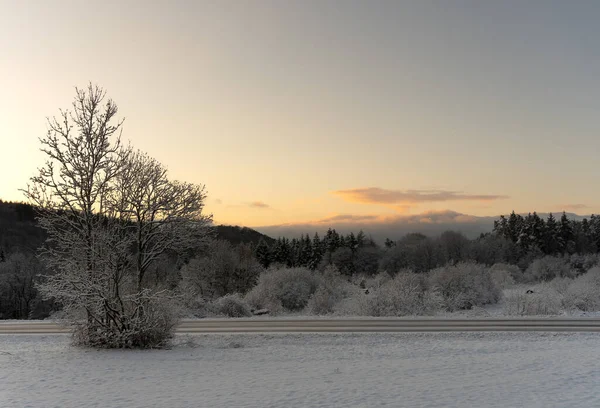 村の近くの高速道路の木々 Osterfeld Allendorf Eder Blue Sky — ストック写真