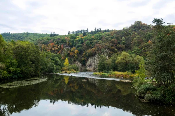 Beau Paysage Automne Avec Arbres Forêt — Photo