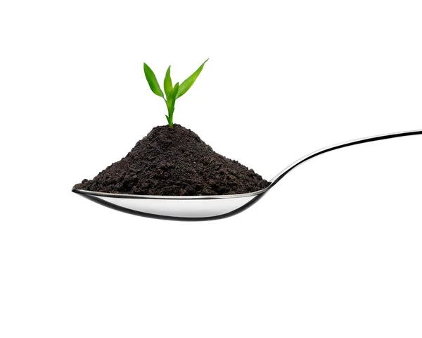 スプーンに土壌の山と生態学的な概念で植物を成長させる 白地正面図 — ストック写真