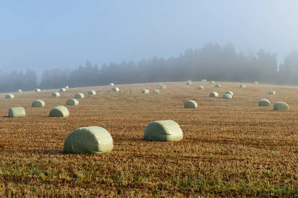 Szalmabálák Ködben Mezőn — Stock Fotó