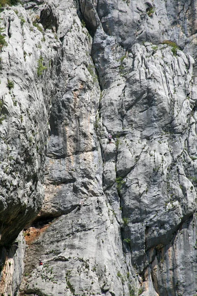 Фон Текстури Кам Яної Стіни — стокове фото